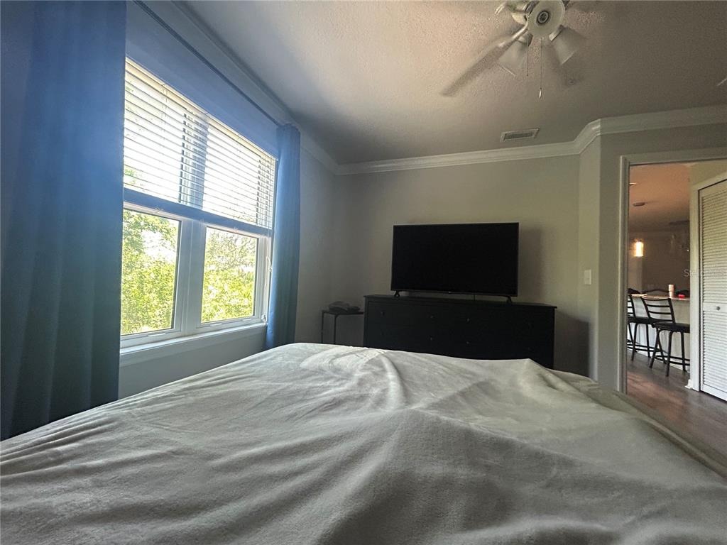 Royal Palms Way, New Port Richey, FL 34652 #1