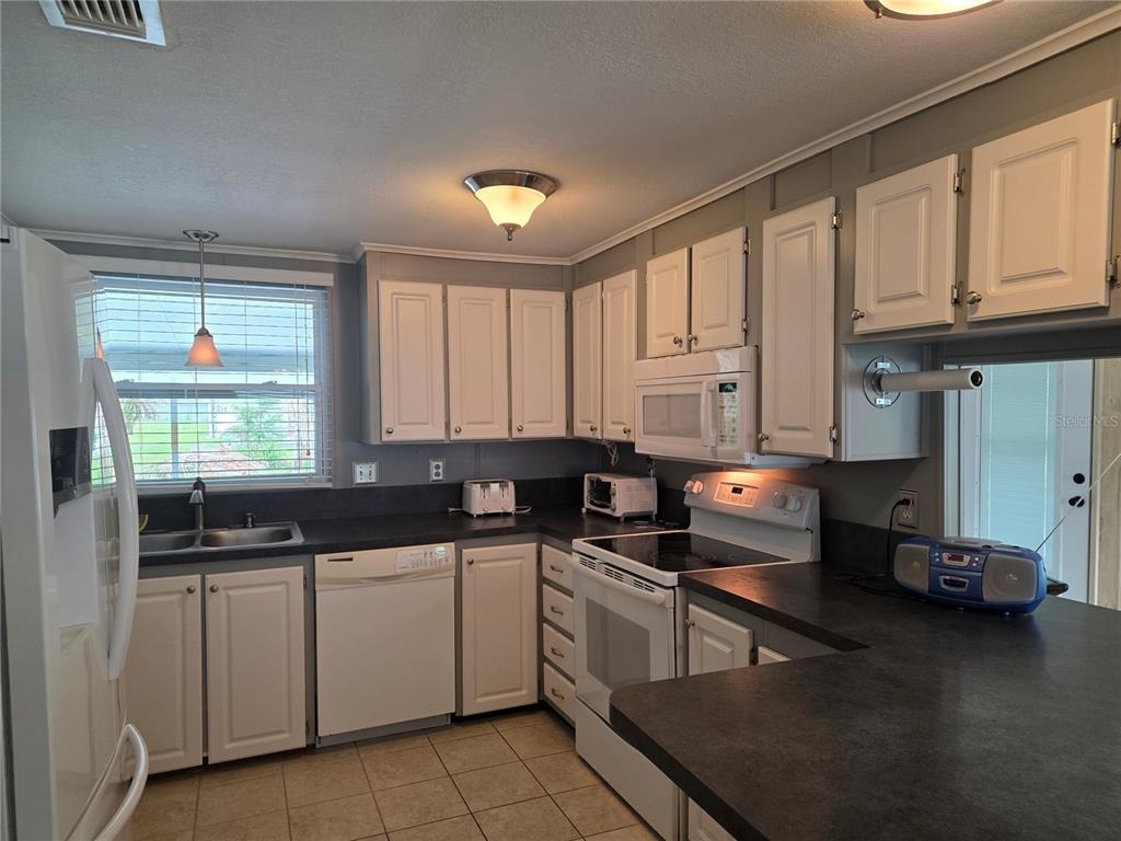 Silver Pines Ave, Zephyrhills, FL 33542 #1