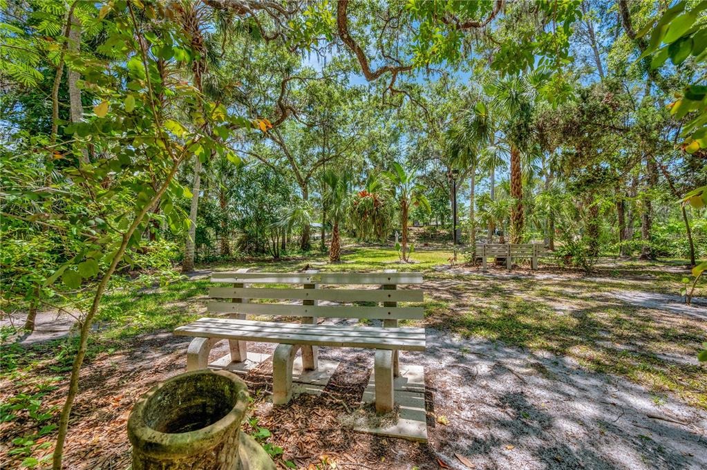 River Country Dr, Riverview, FL 33569 #1