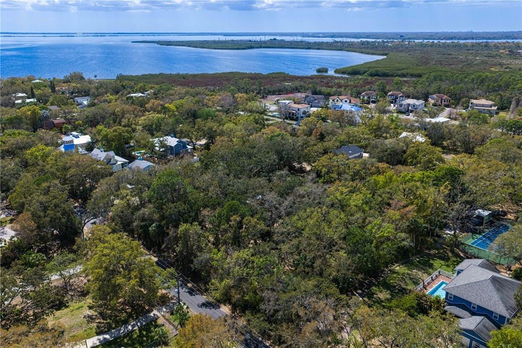 Bay Dr, Tampa, FL 33635