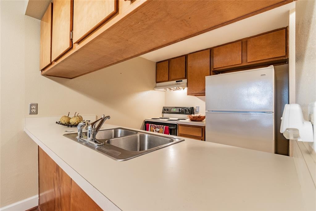 Mcelroy Ave, Tampa, FL 33611 #1