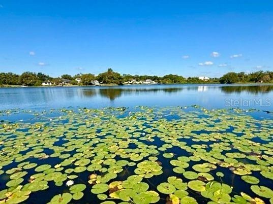Humphrey St, Tampa, FL 33614