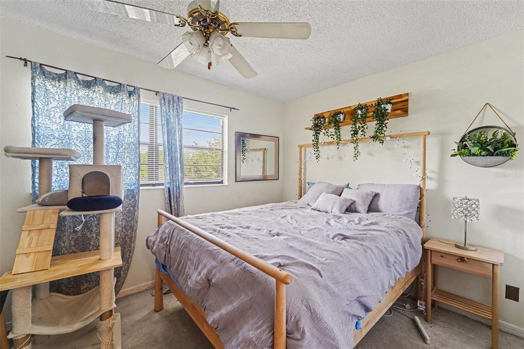 Seascape Cir, Tarpon Springs, FL 34689 #1