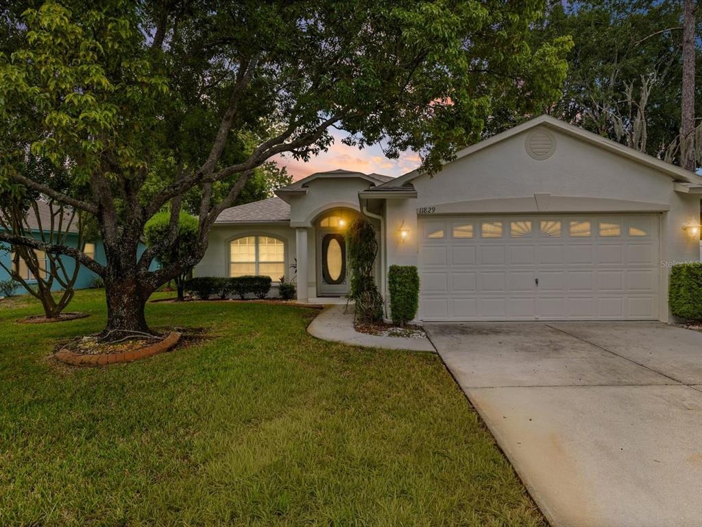 Ivywood Pl, New Port Richey, FL 34654