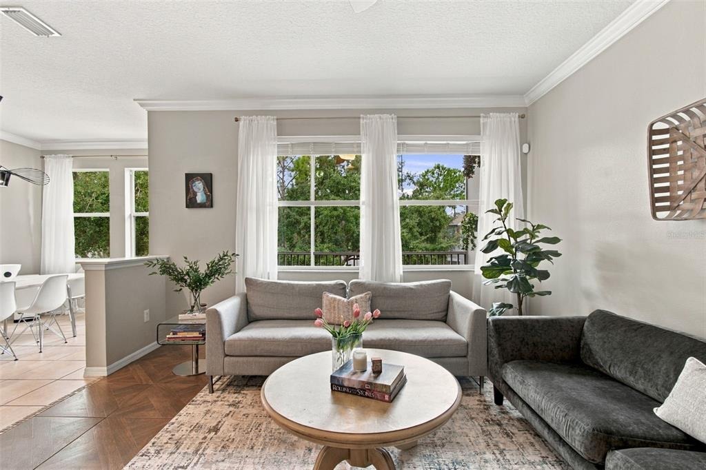 Georgian Park Ln, Tampa, FL 33626 #1