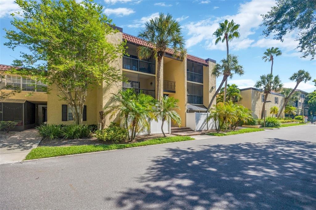 San Sebastian Ct, Tampa, FL 33609