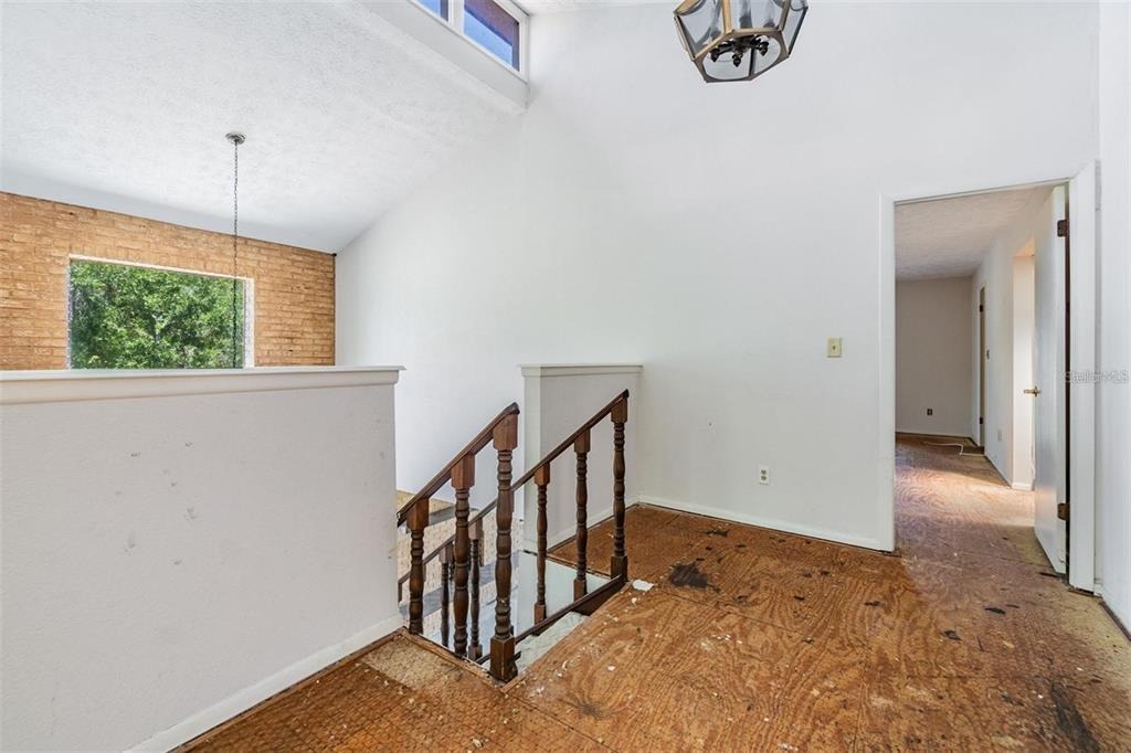 Trent Rd, Palm Harbor, FL 34684 #1