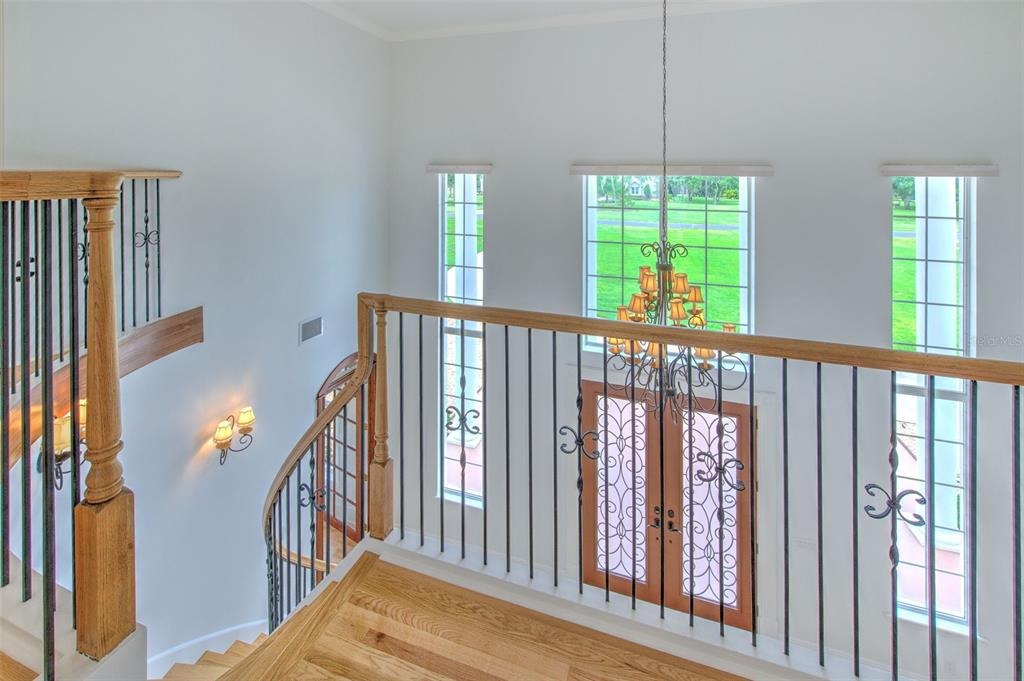 Hammock Oaks Ct, Lithia, FL 33547 #1