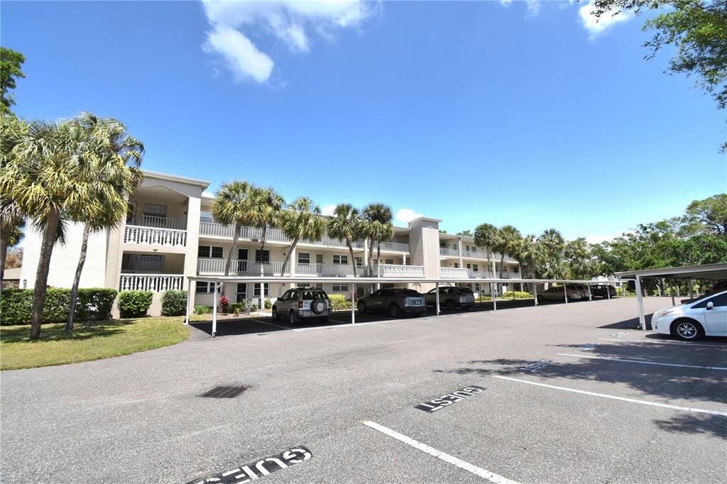 Virginia St, Dunedin, FL 34698