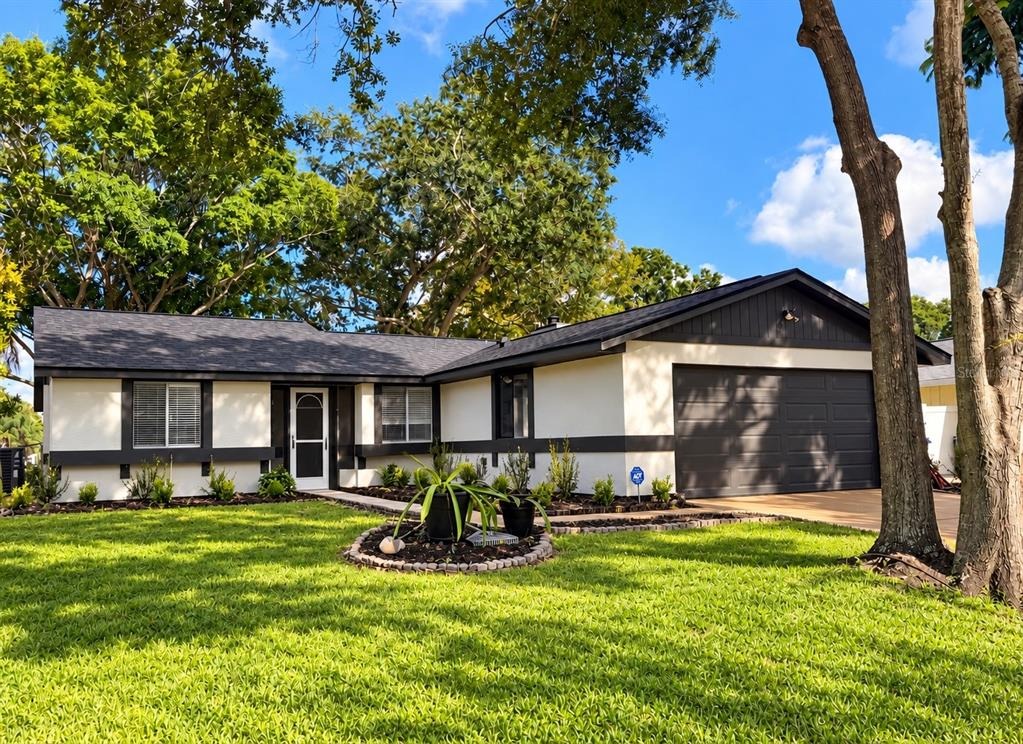 Timber Bay Cir, Oldsmar, FL 34677