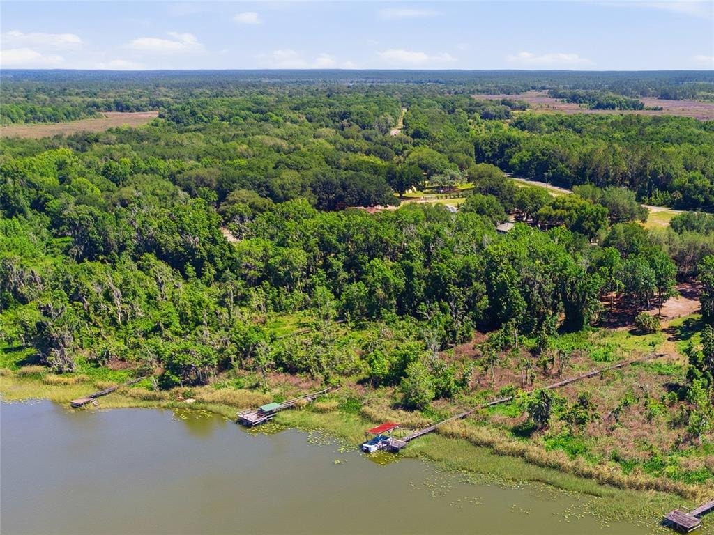 183rd Avenue Rd, Ocklawaha, FL 32179 #1