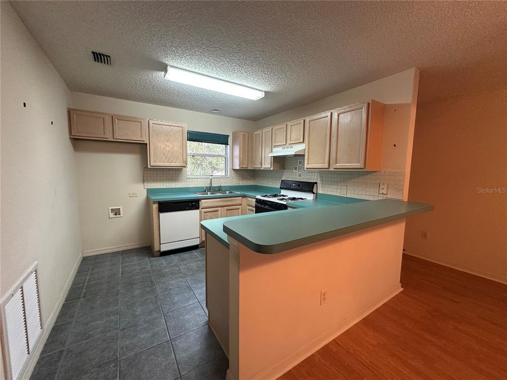 Sanibel Ct, The Villages, FL 32162 #1