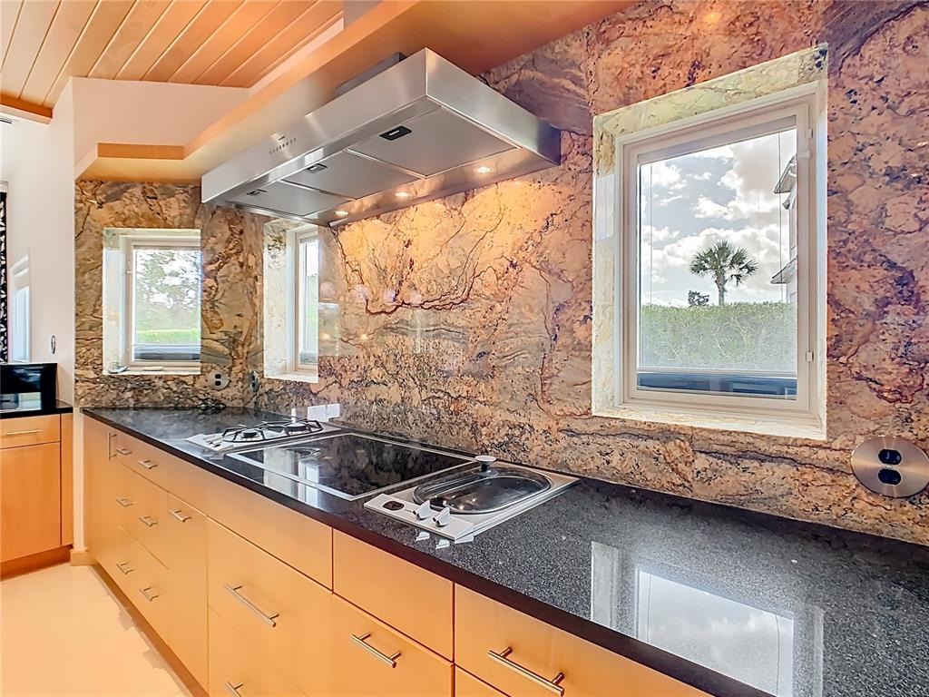 Desert Mountain Ct, Reunion, FL 34747 #1