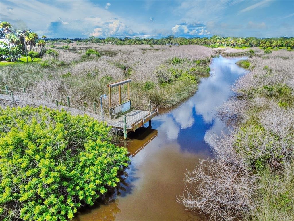 Wayne Ave, New Smyrna Beach, FL 32168 #1