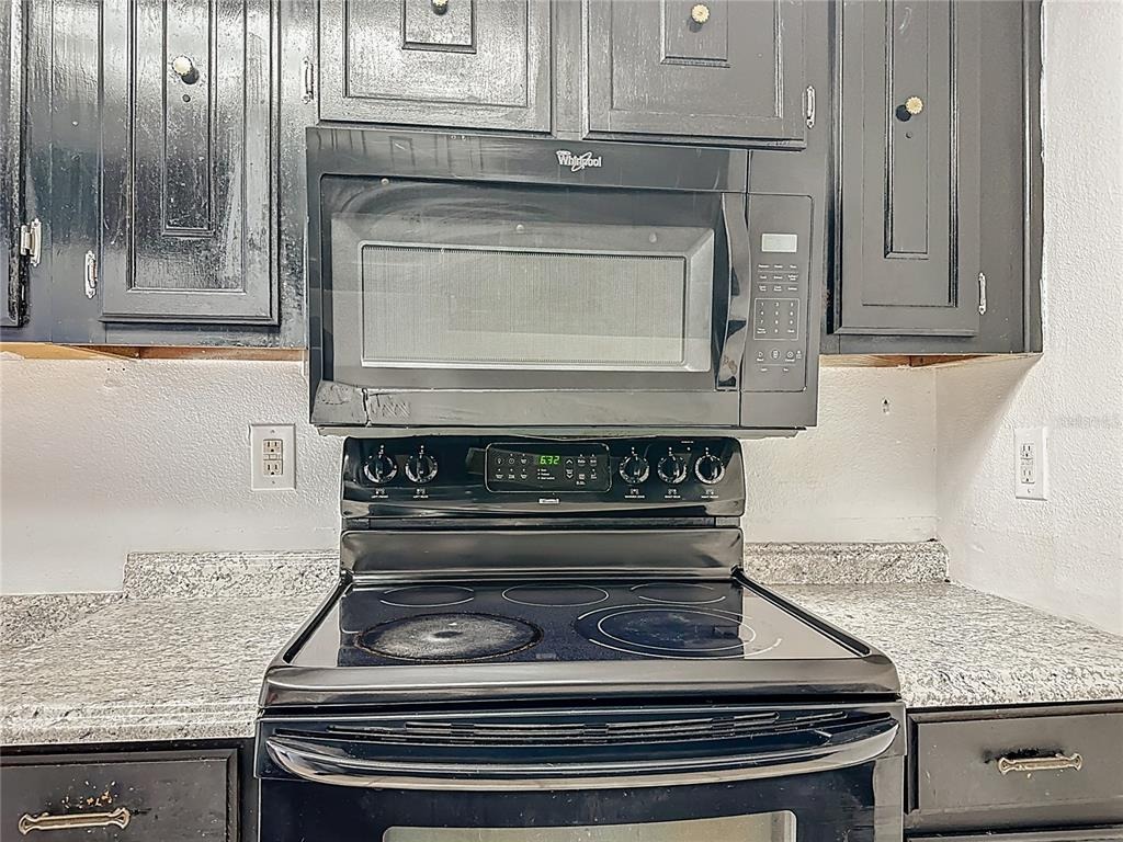 Village Cir, Orlando, FL 32822 #1