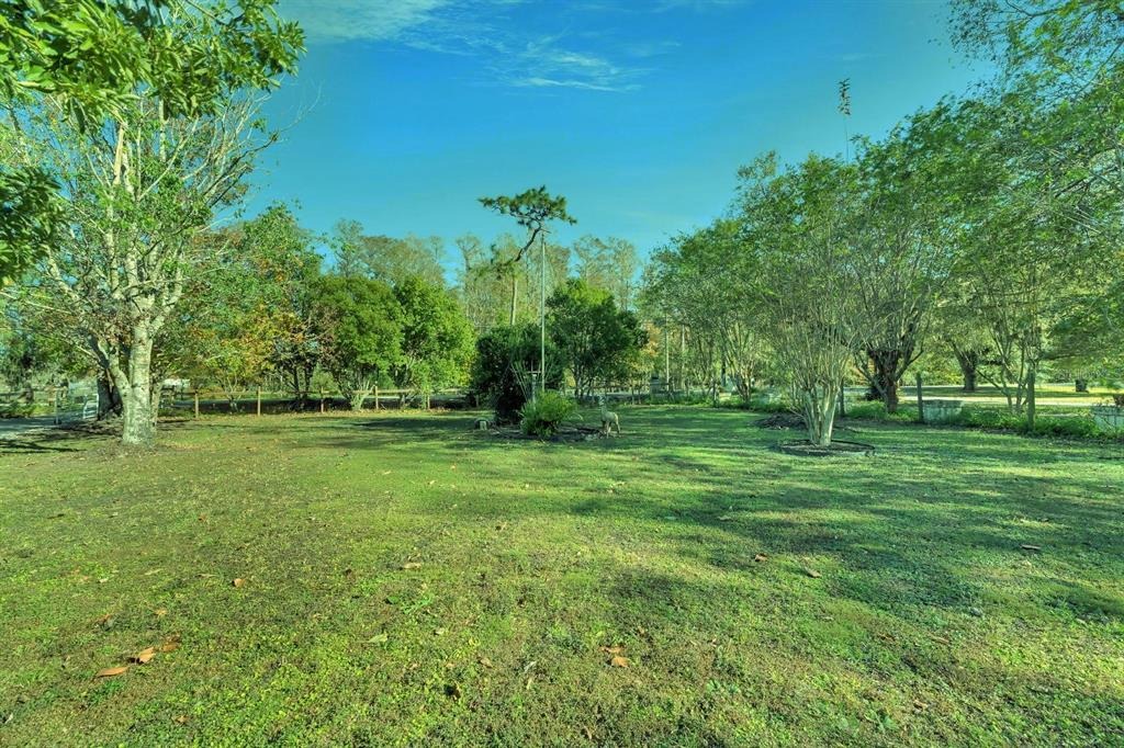 Pless Rd, Plant City, FL 33565 #1