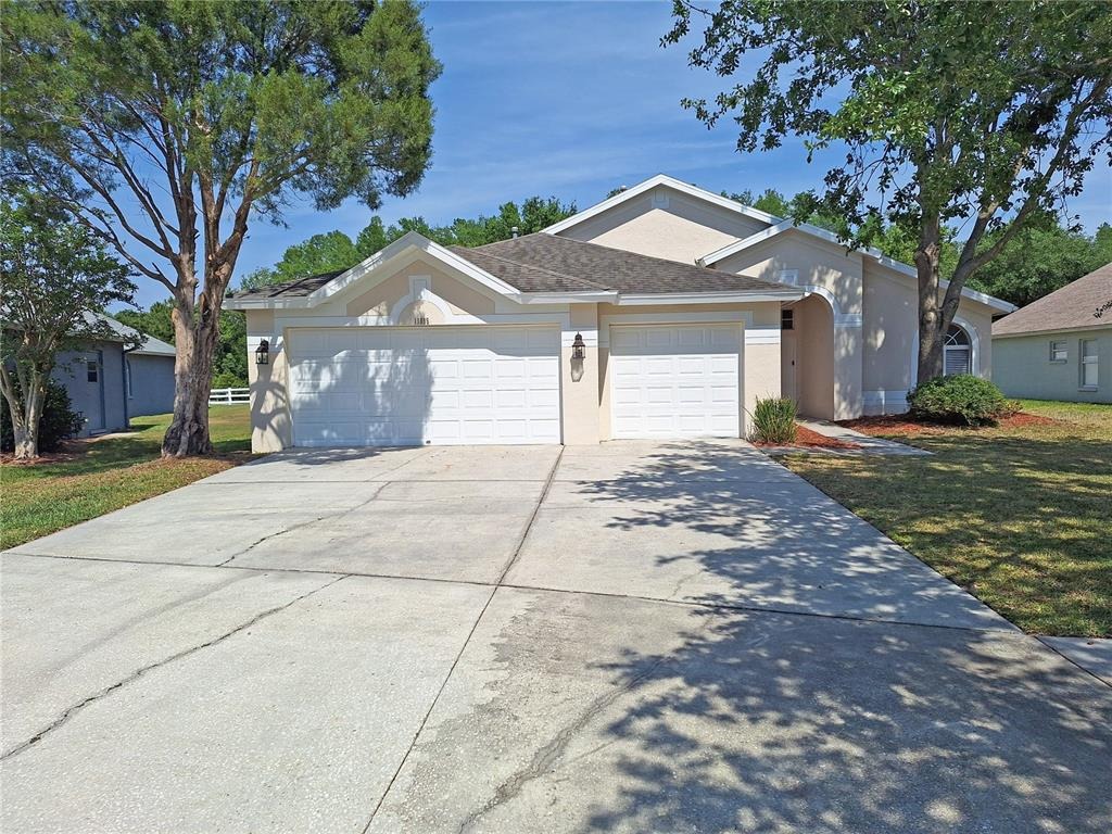 Ellendale Dr, Land O Lakes, FL 34638