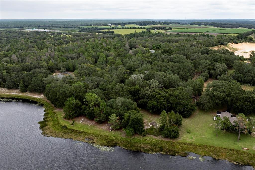 Em En El Grove Rd, Leesburg, FL 34788 #1