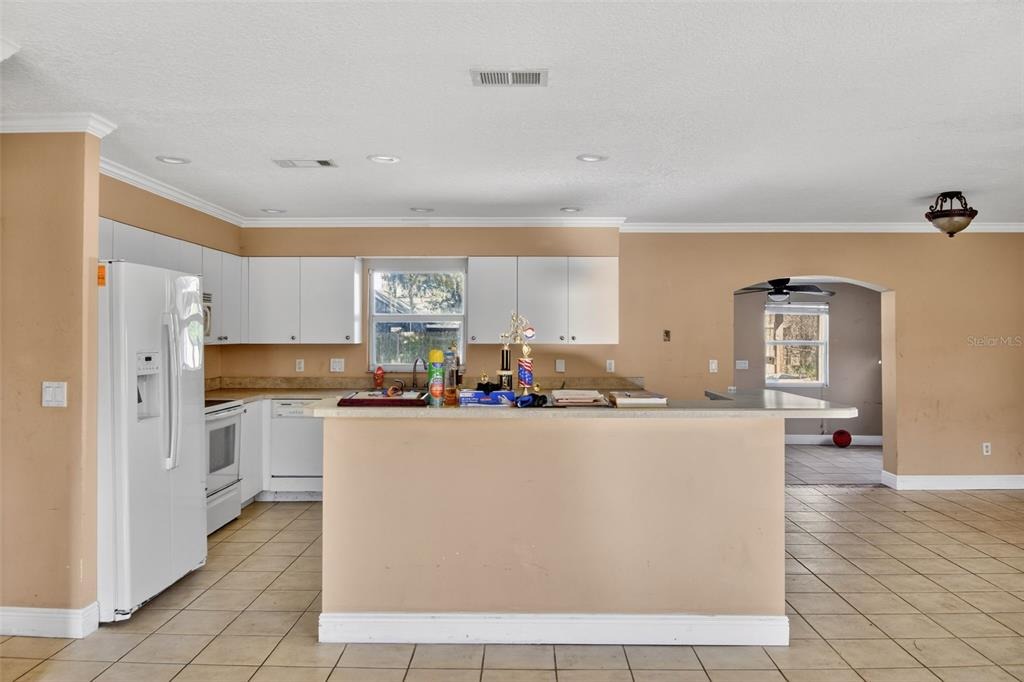 Willow Oak Dr, Edgewater, FL 32141 #1