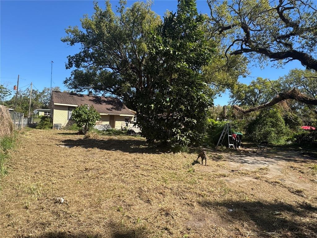 43rd St, Orlando, FL 32839 #1