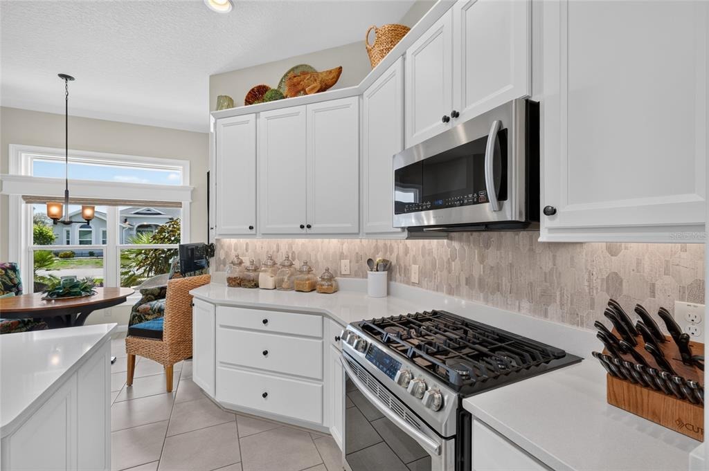 Mceldowney Pl, The Villages, FL 32163 #1