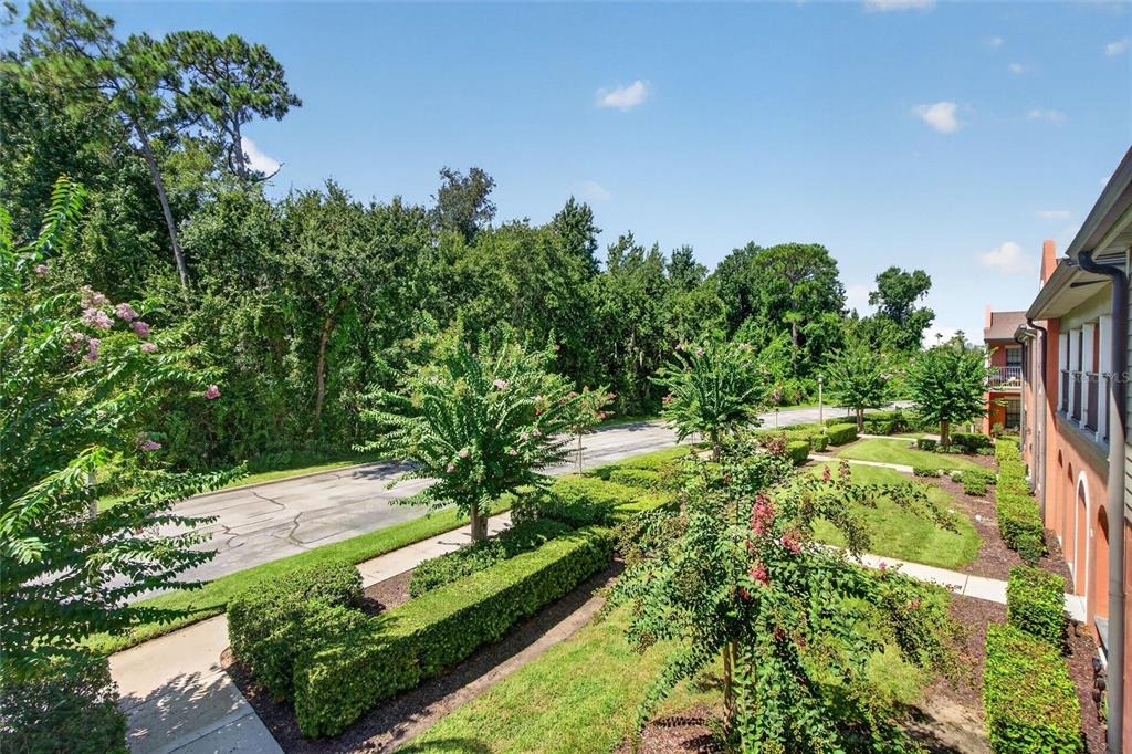 Centervale Dr, Kissimmee, FL 34747 #1