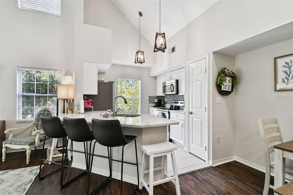 Lake Chase Island Way, Tampa, FL 33626 #1