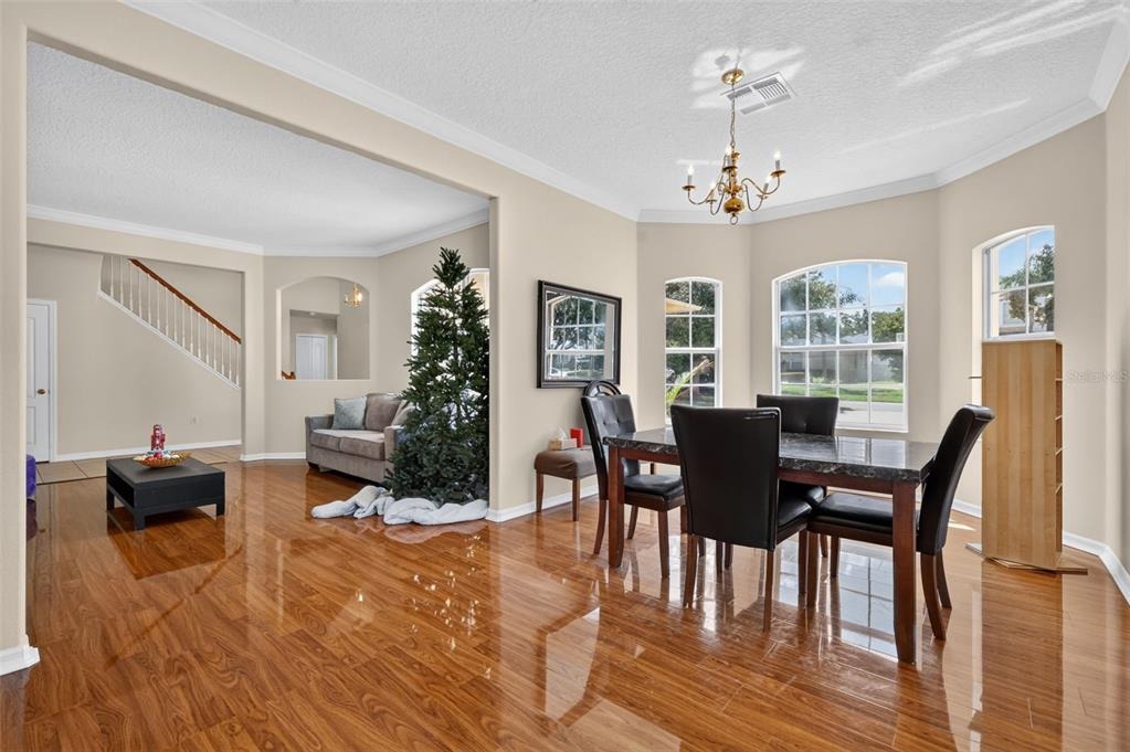 Rishley Run Way, Mount Dora, FL 32757 #1