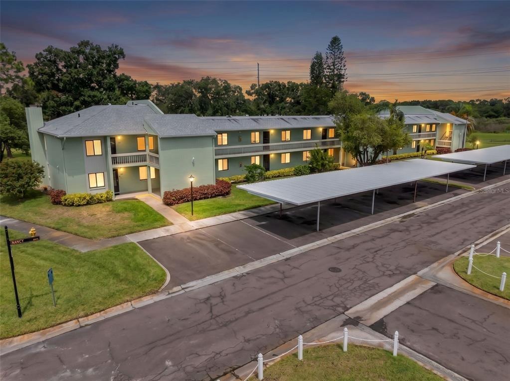Nancy Dr, Oldsmar, FL 34677