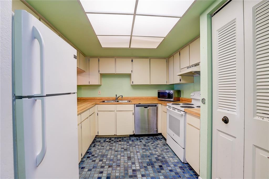Greenery Ct, Tampa, FL 33618 #1