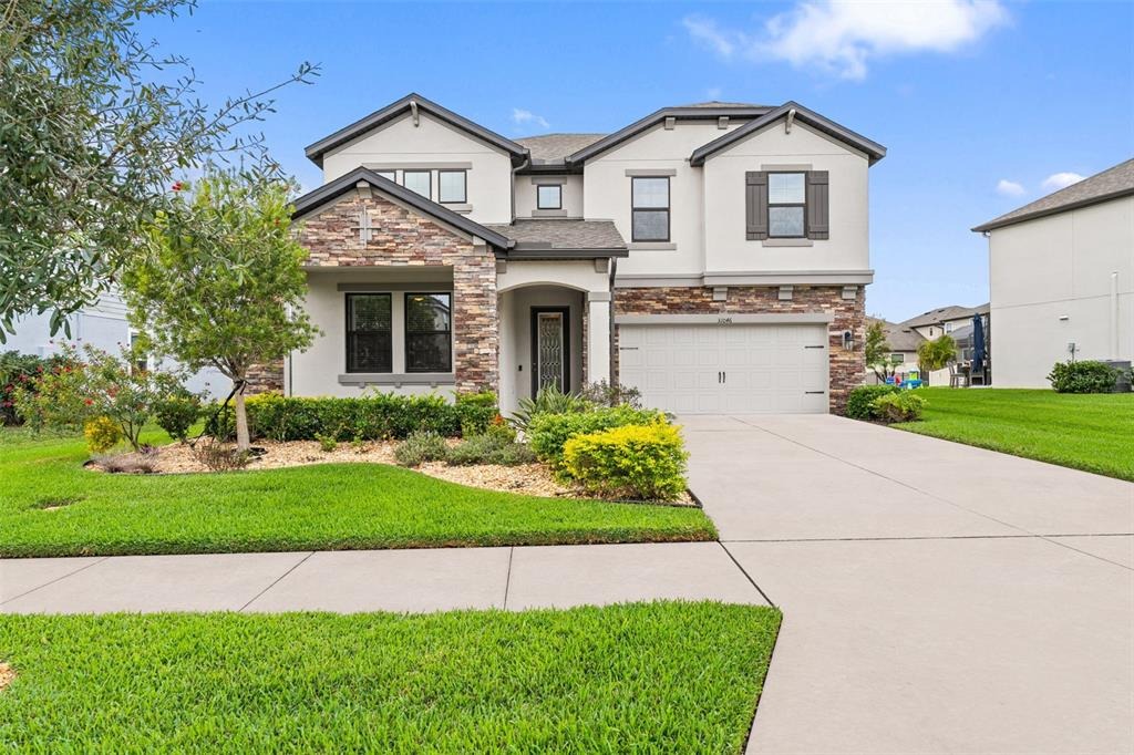 Parrot Reef Ct, Wesley Chapel, FL 33545