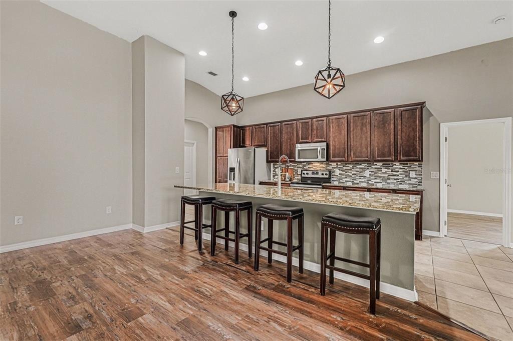 Loopback Dr, San Antonio, FL 33576 #1