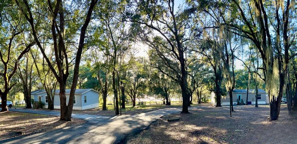 Em En El Grove Rd, Leesburg, FL 34788