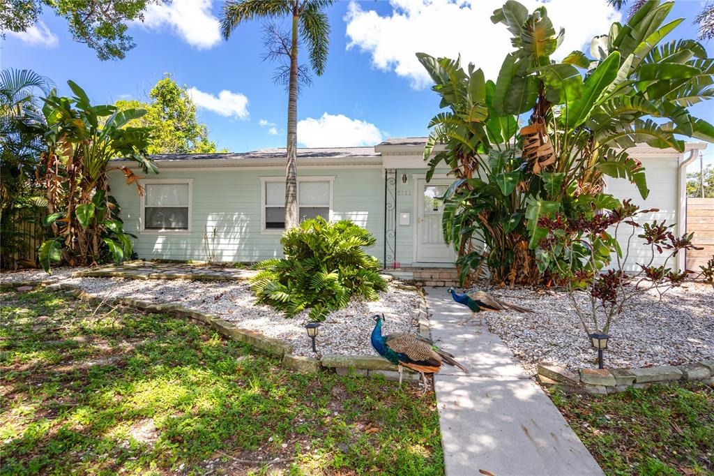 28th Ave, Saint Petersburg, FL 33710