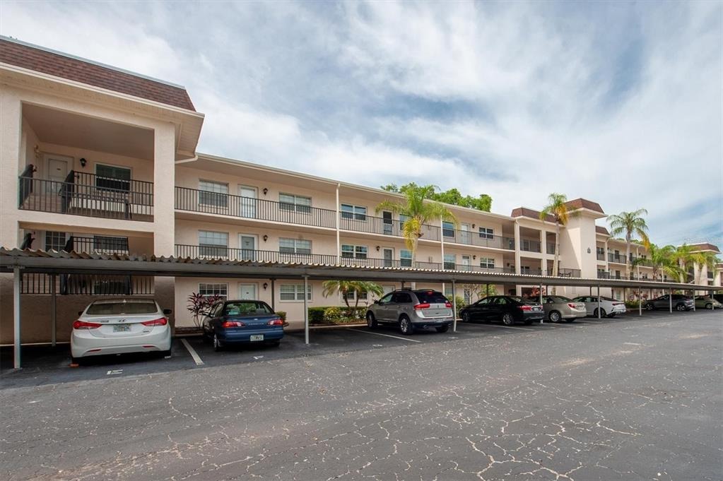 Maple Ct, Dunedin, FL 34698