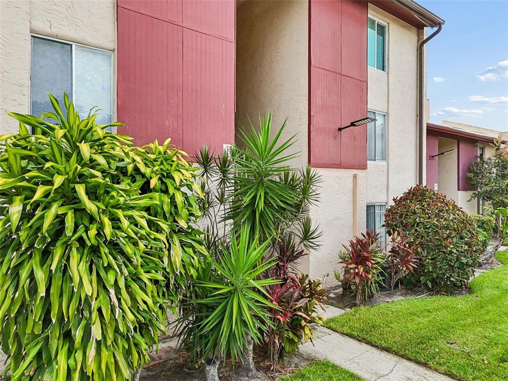 Lake Dr, Tampa, FL 33614