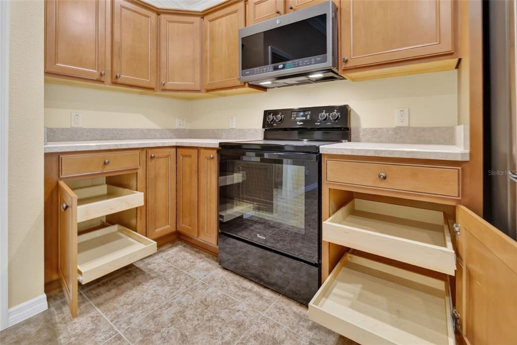 Enisgrove Way, The Villages, FL 32163 #1
