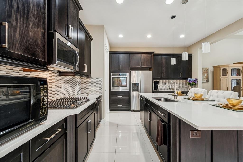 Barletta Ct, Wesley Chapel, FL 33543 #1