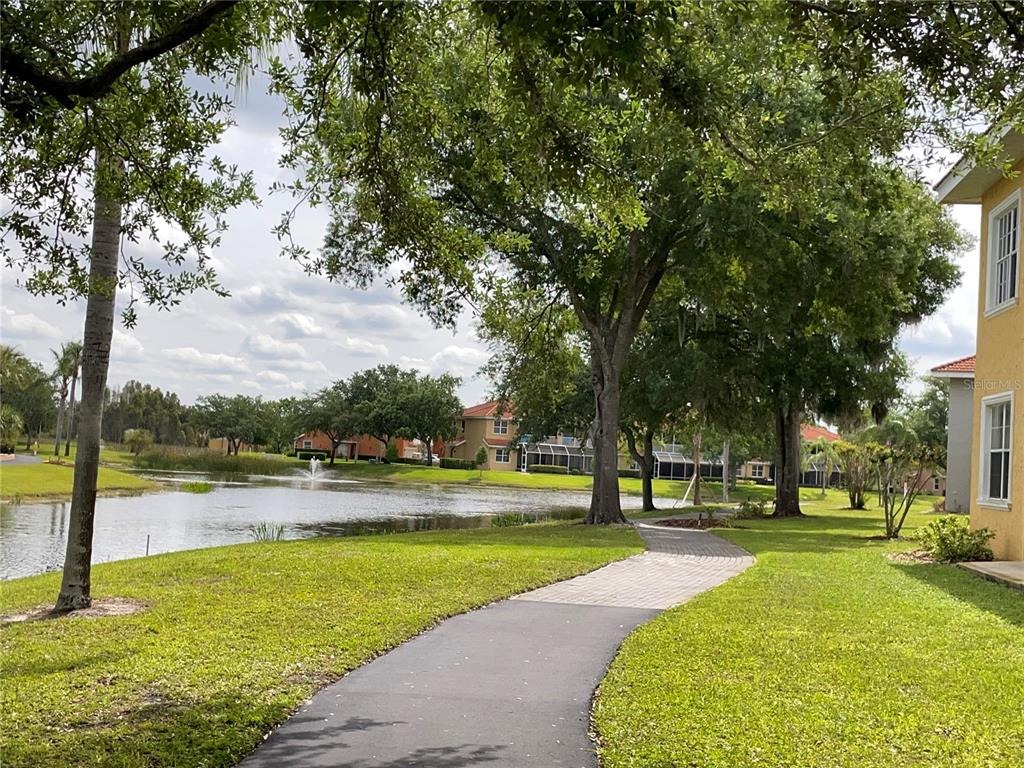 Dali Ave, Land O Lakes, FL 34637