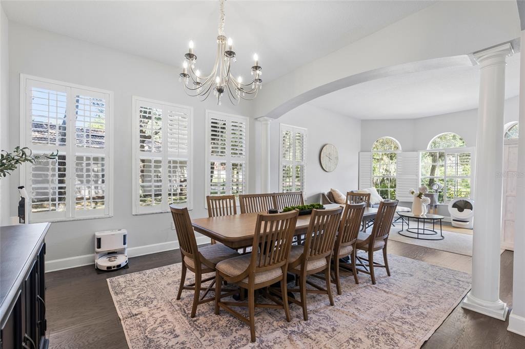 Creedmoor Ln, New Port Richey, FL 34654 #1
