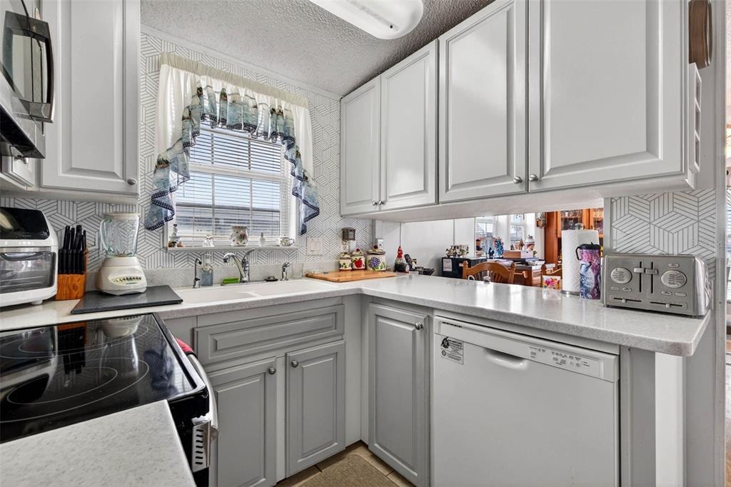 Condominium Blvd, Zephyrhills, FL 33541 #1