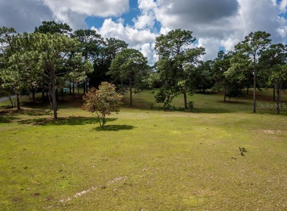 Woodlawn St, Dunnellon, FL 34433 #1