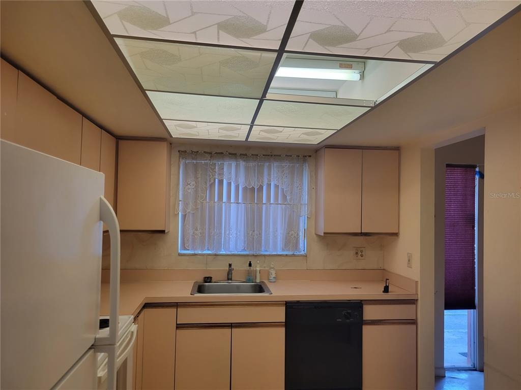16th Ln, Saint Petersburg, FL 33712 #1