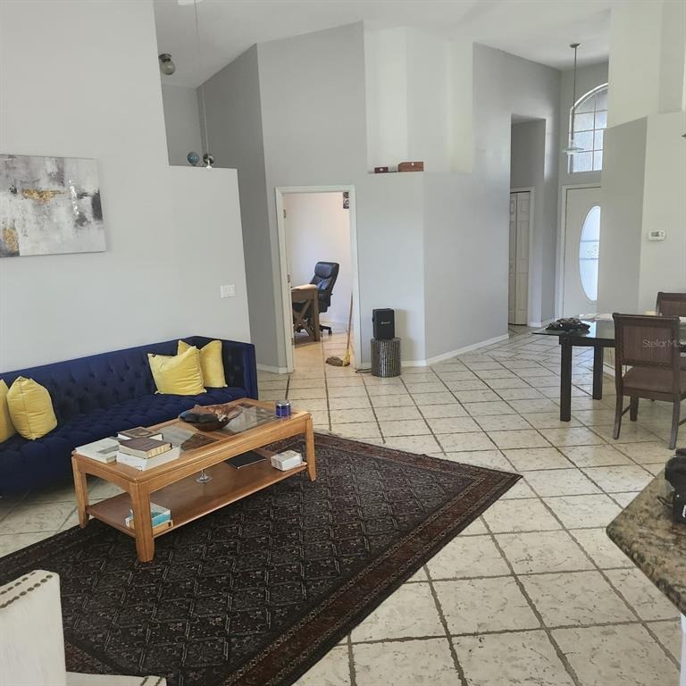 White Ivey Ct, Apopka, FL 32712 #1