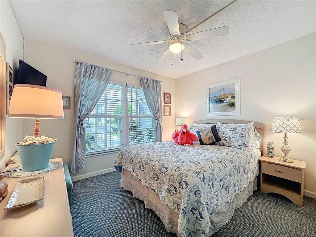 Tina Dr, New Port Richey, FL 34653 #1