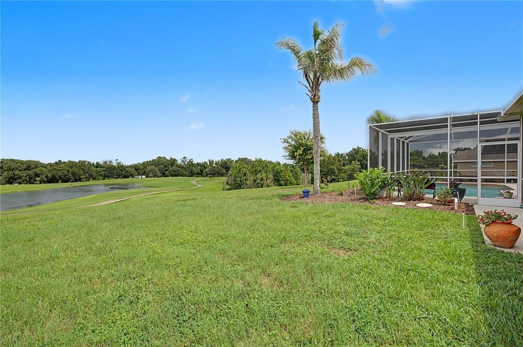Thoroughbred Dr, Dade City, FL 33525 #1