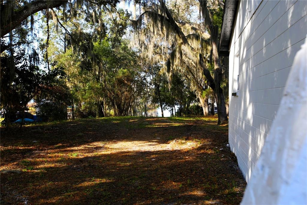 Overlook Dr, Wesley Chapel, FL 33545 #1