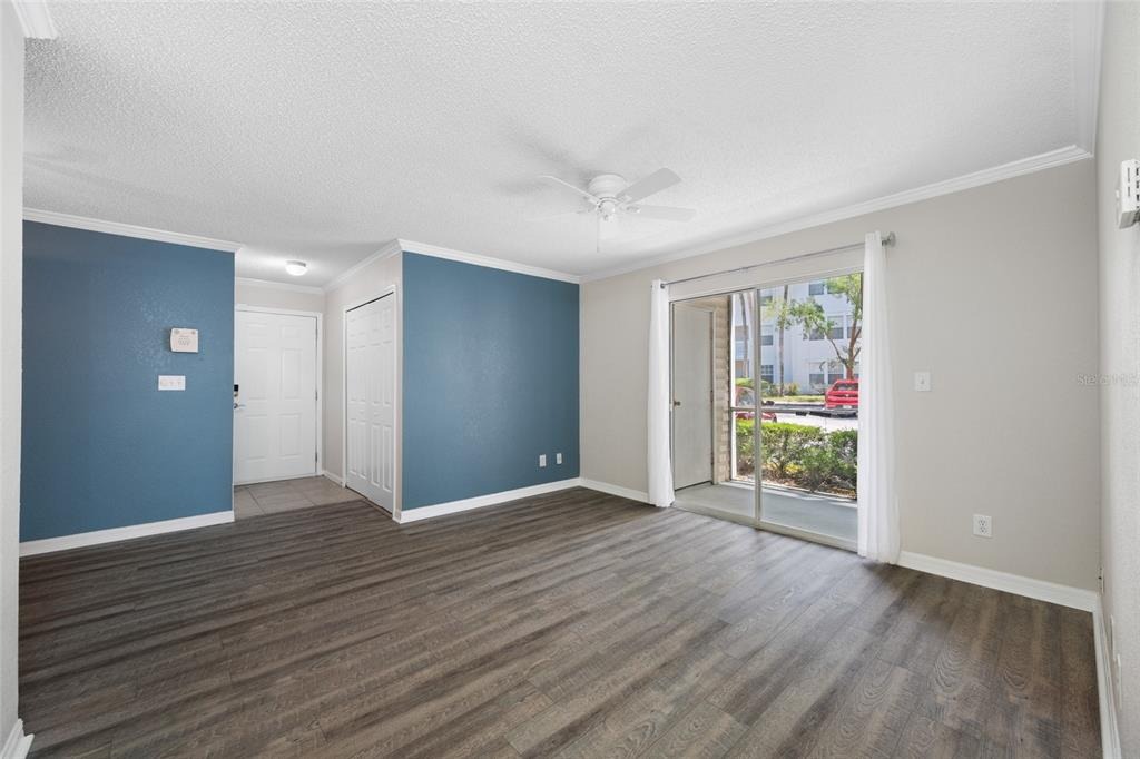 Haviland Ct, Palm Harbor, FL 34684 #1