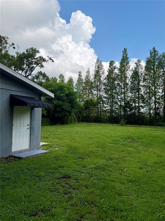 Gray St, Tampa, FL 33609 #1