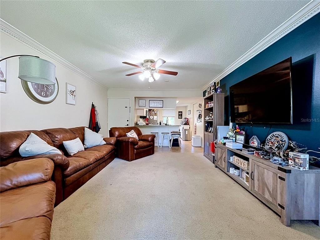 Meadow Ln, Oldsmar, FL 34677 #1
